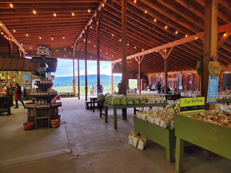 Cider, Slushies, and Sweet Treats Cider, Slushies, and Sweet Treats