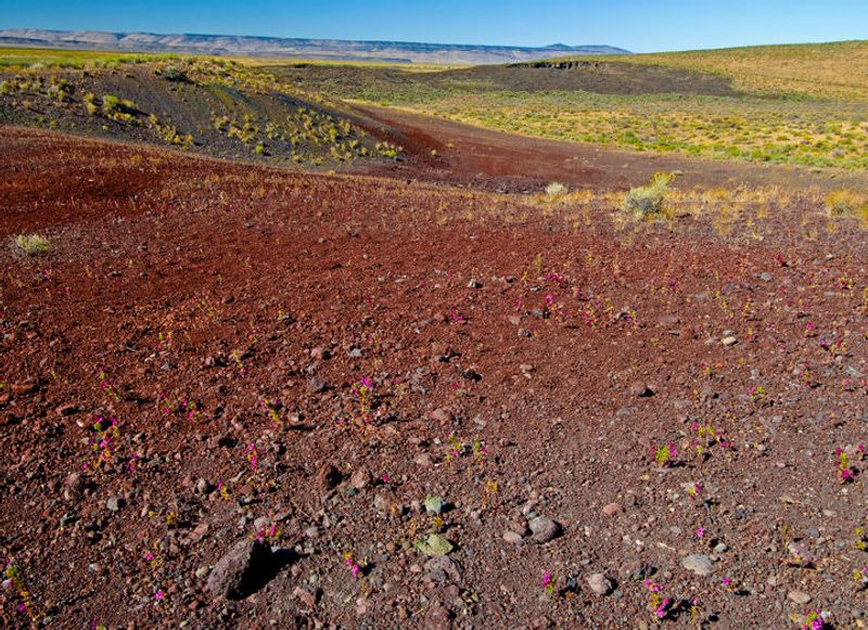 Cinder Cones Rising From the Desert Floor