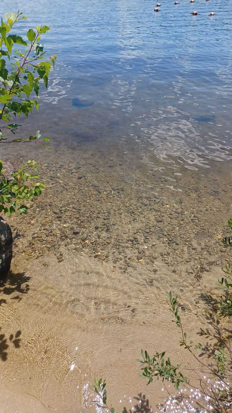Clean Sand, Clear Water, No Litter