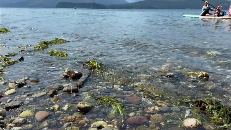 Clear Water That Runs a Little Warmer