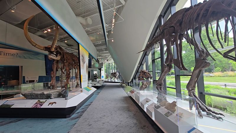 Cleveland Museum of Natural History