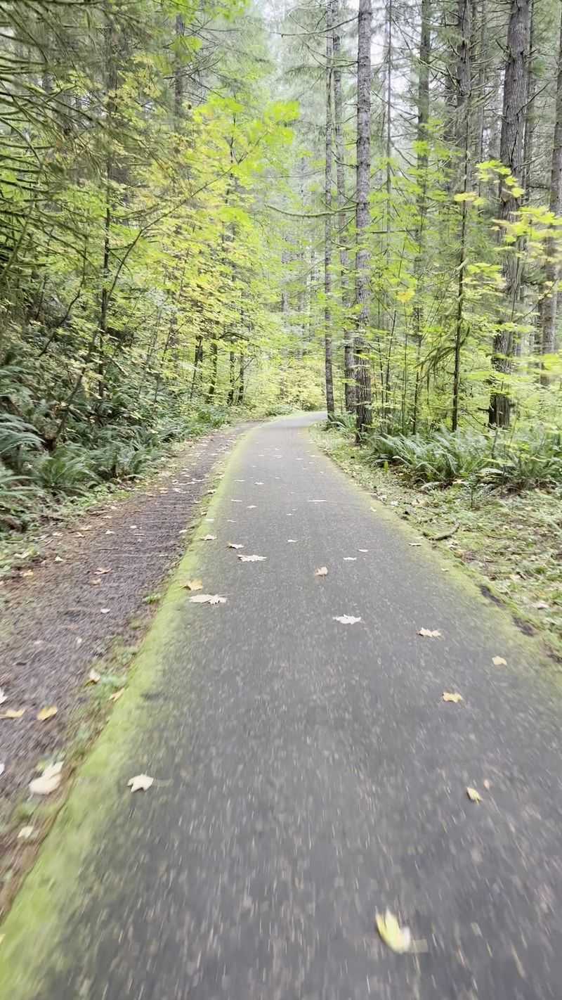 Climbing Toward Vernonia: The Real Test Climbing Toward Vernonia: The Real Test