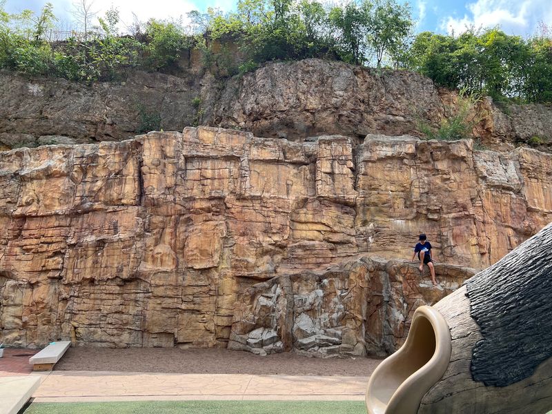 Climbing Walls and Rock Faces That Challenge Older Kids