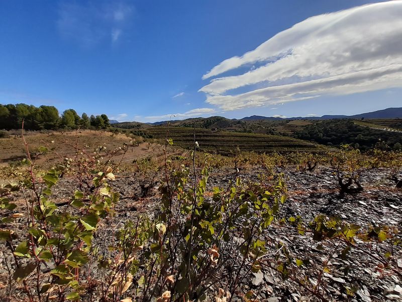 Clos Mogador, Priorat Clos Mogador, Priorat