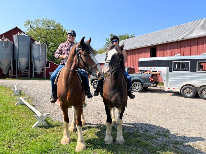 Clydesdales That Redefine A Barn Visit