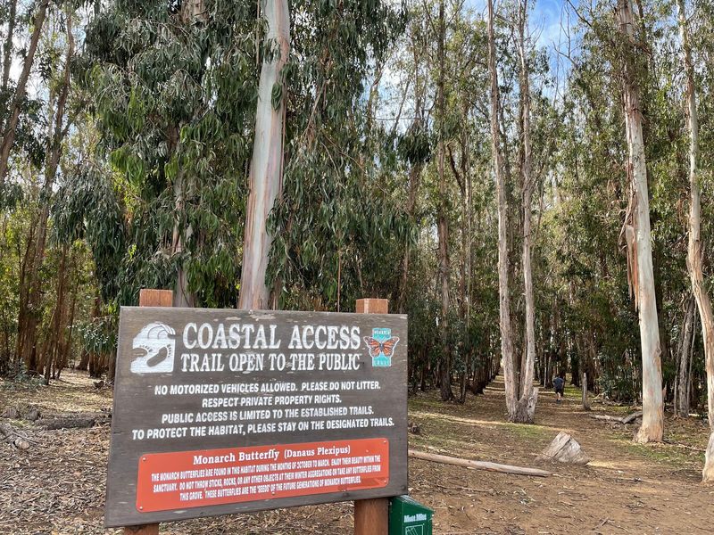 Coastal Access Monarch Butterfly Preserve, Los Osos, California Coastal Access Monarch Butterfly Preserve, Los Osos, California