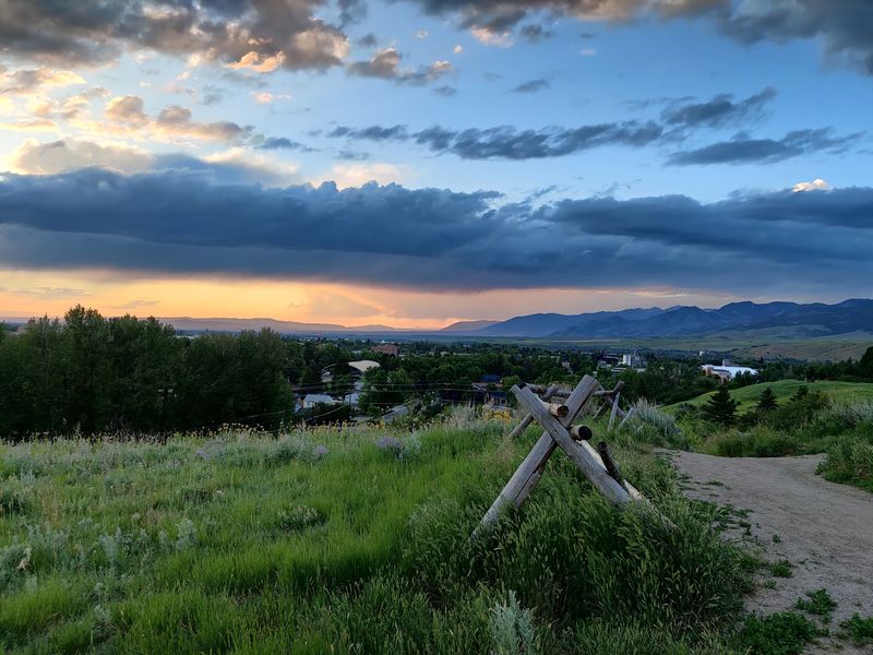 Community Roots and the Spirit That Saved This Land