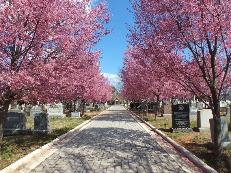 Congressional Cemetery, Washington, D.C. Congressional Cemetery, Washington, D.C.
