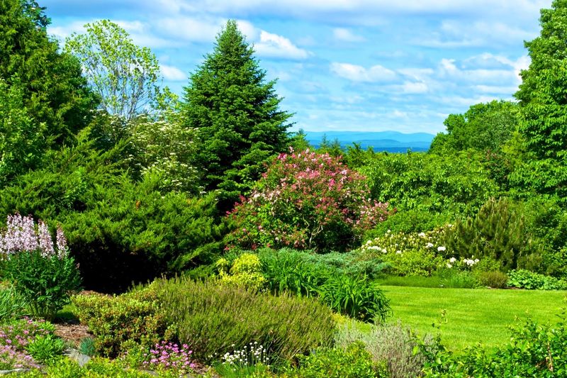 Conservation Written into the Land Itself Conservation Written into the Land Itself