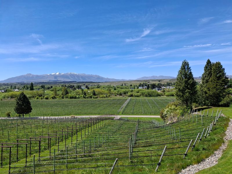 Contra Corriente Winery, Trevelin, Chubut Contra Corriente Winery, Trevelin, Chubut