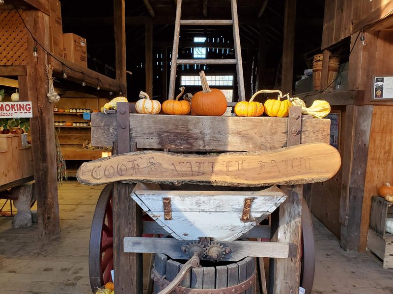 Cook's Valley Farm, Wrentham Cook's Valley Farm, Wrentham