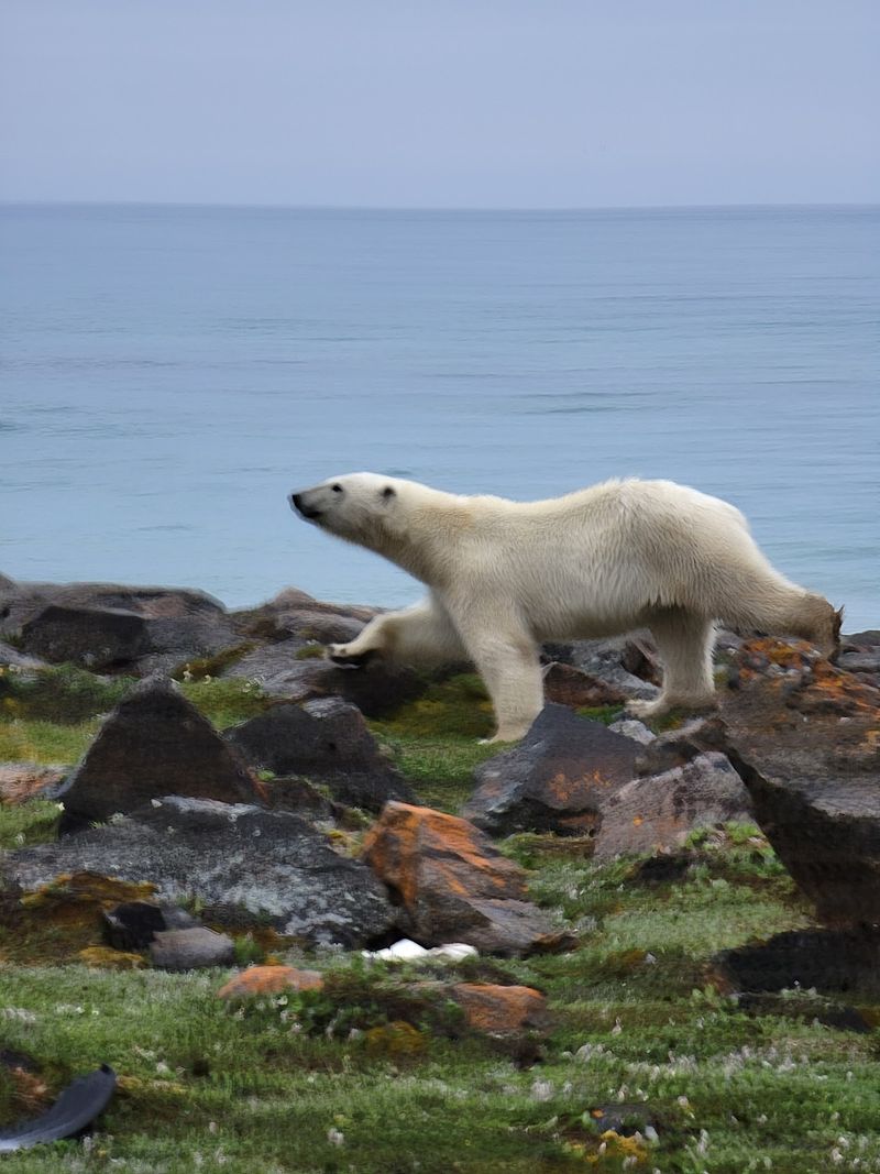 Coral Harbour, Nunavut