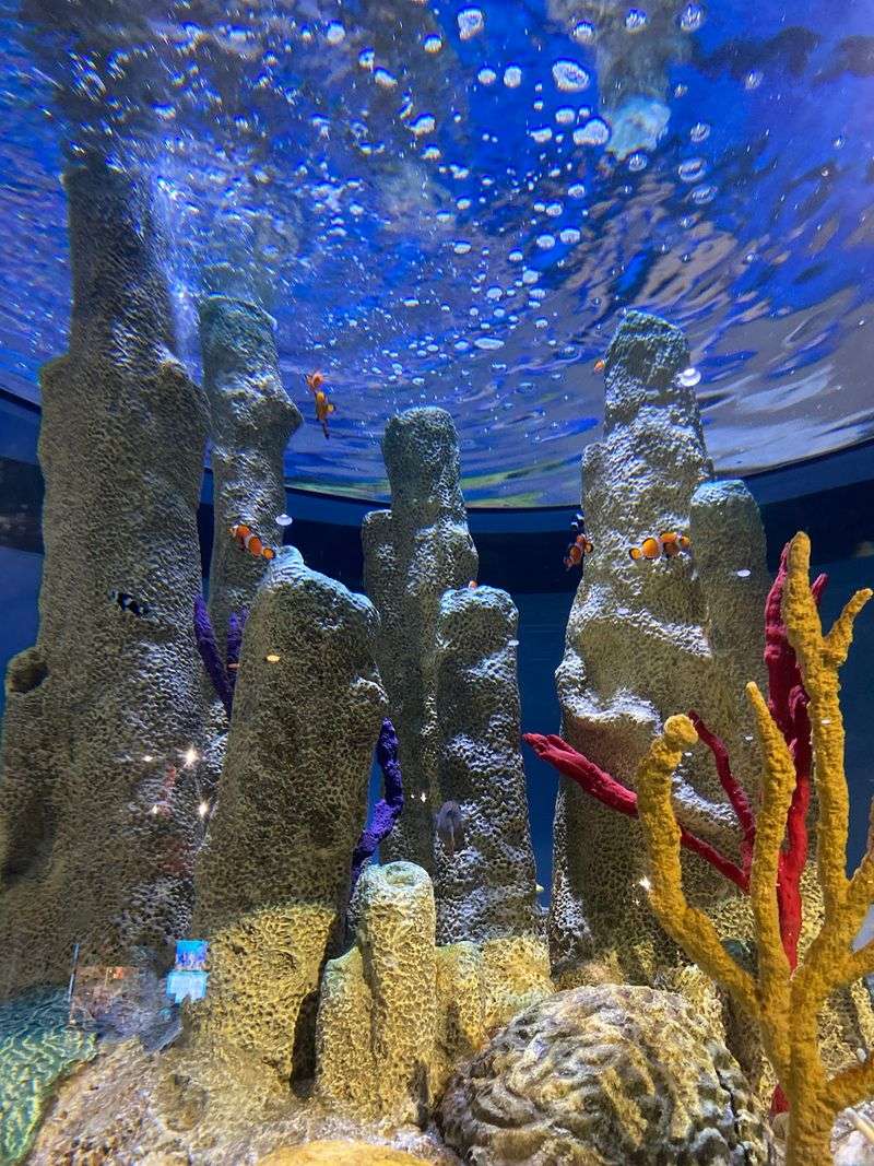 Coral Reefs and Coastal Waters: The Exhibit Lineup Coral Reefs and Coastal Waters: The Exhibit Lineup