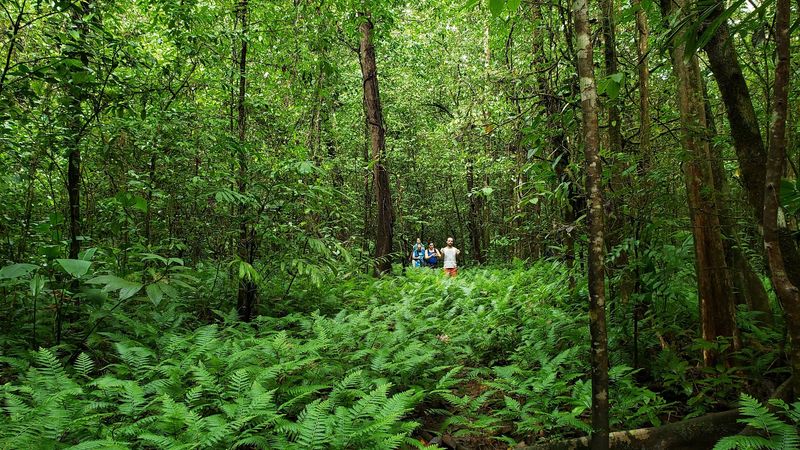 Corcovado National Park, Puerto Jiménez, Puntarenas Province, Costa Rica