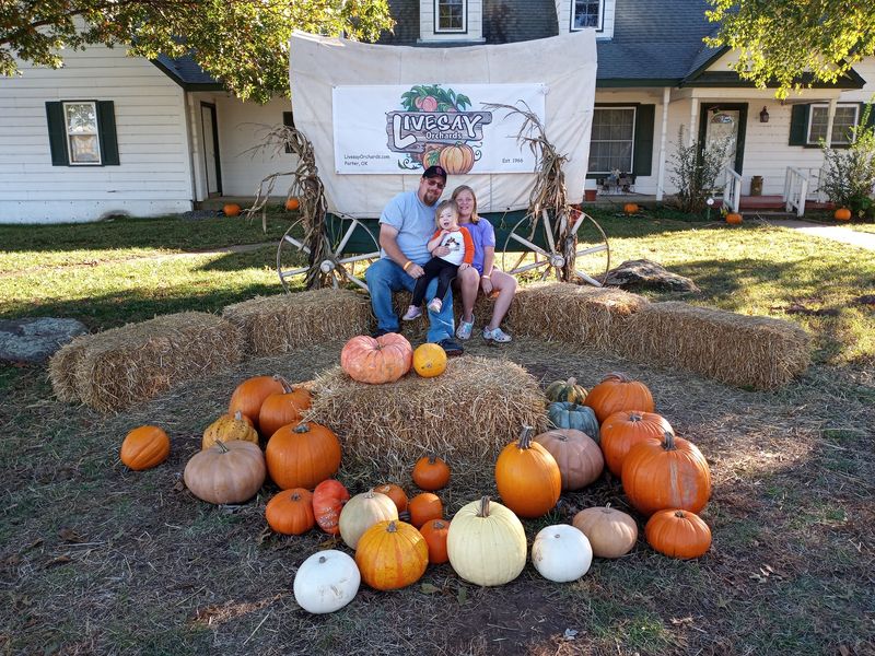 Corn Maze, Apple Blaster, and the Family Fun Zone