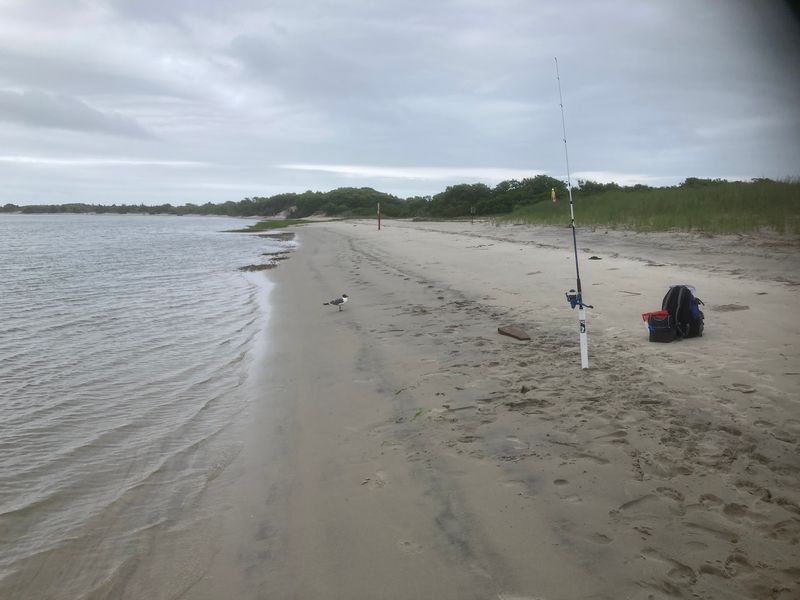 Corson's Inlet State Park, Ocean City, NJ