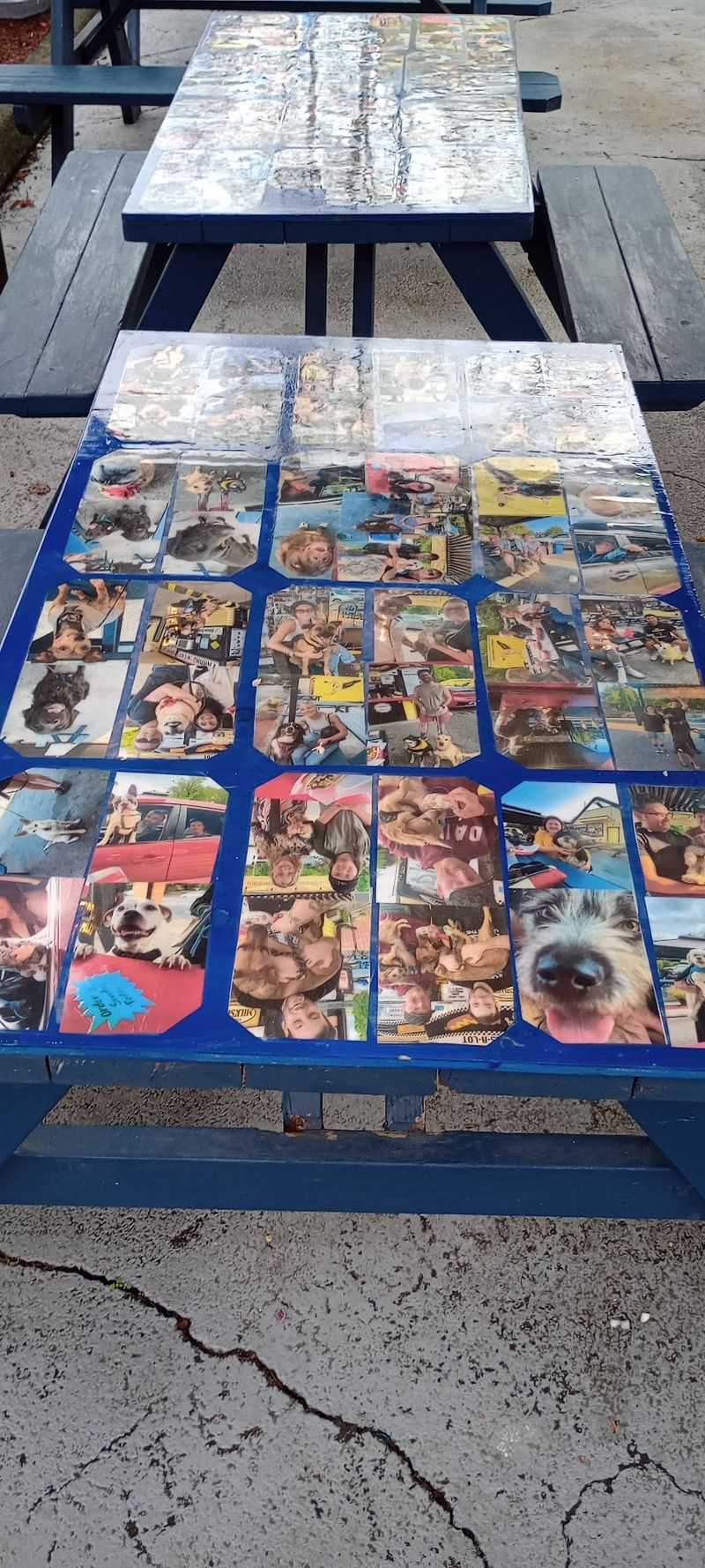 Covered Outdoor Seating and a Photo Gallery Covered Outdoor Seating and a Photo Gallery