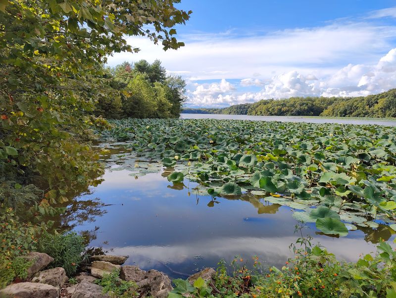 Cowan Lake State Park, Wilmington Cowan Lake State Park, Wilmington