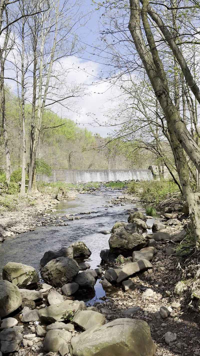 Creek, Waterfall, And Nearby Trail Temptations