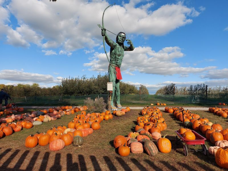 Curtis Orchard and Pumpkin Patch - Champaign Curtis Orchard and Pumpkin Patch - Champaign