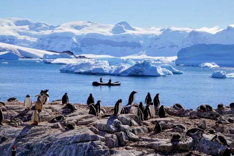 Cuverville Island, Antarctic Peninsula, Antarctica Cuverville Island, Antarctic Peninsula, Antarctica