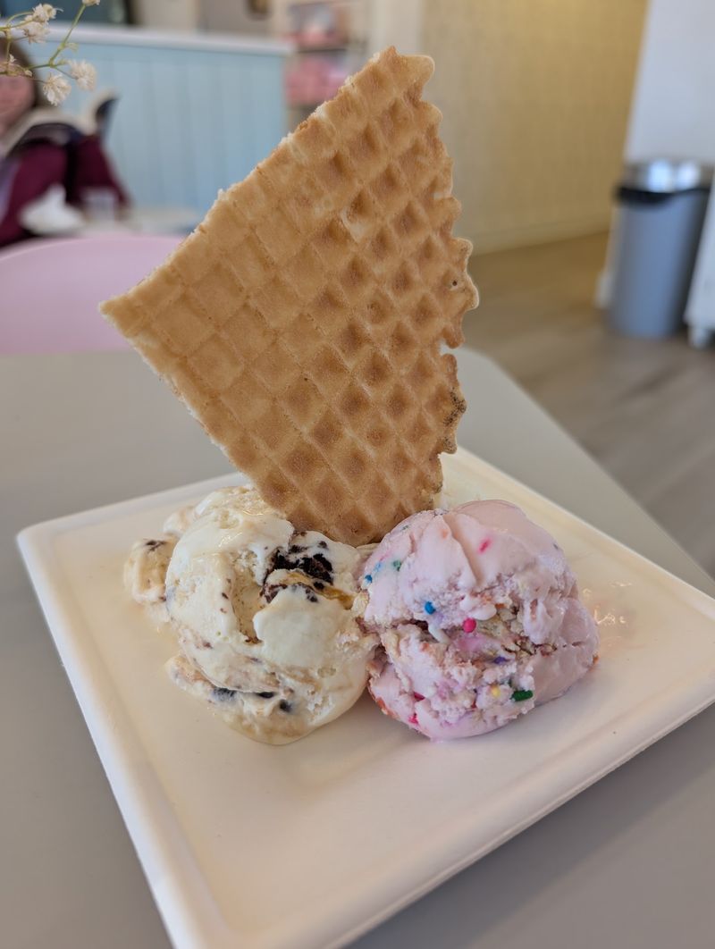 Dairy-Free Scoops That Fool Even the Skeptics