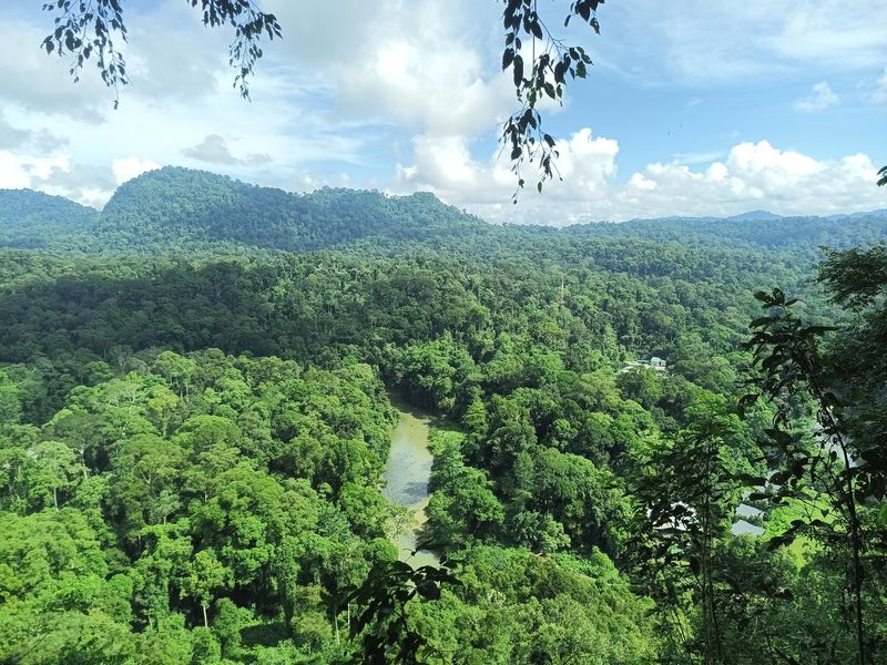 Danum Valley Conservation Area, Lahad Datu, Sabah, Malaysia Danum Valley Conservation Area, Lahad Datu, Sabah, Malaysia