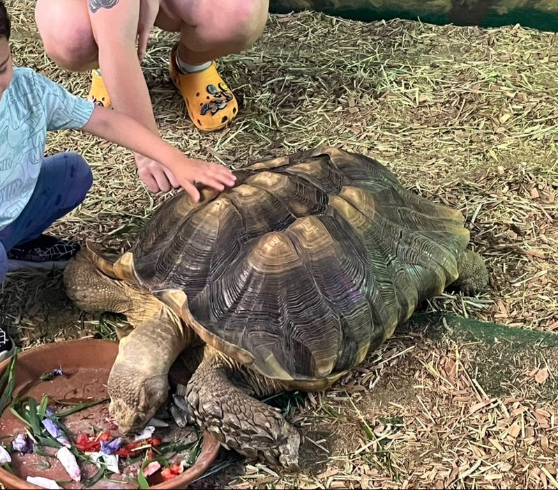 Darwin Steals the Show Every Time Darwin Steals the Show Every Time