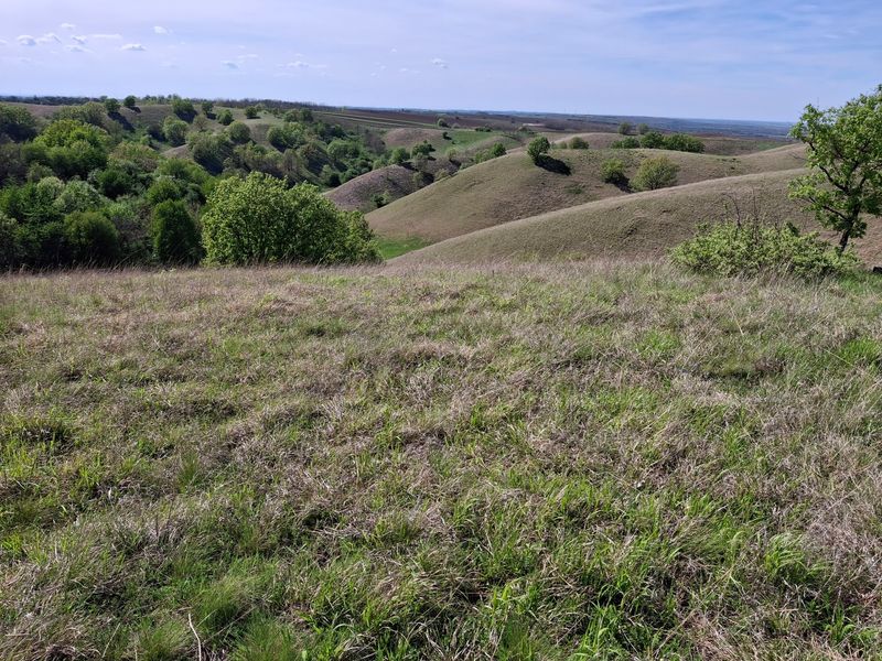 Deliblato Sands, Serbia Deliblato Sands, Serbia
