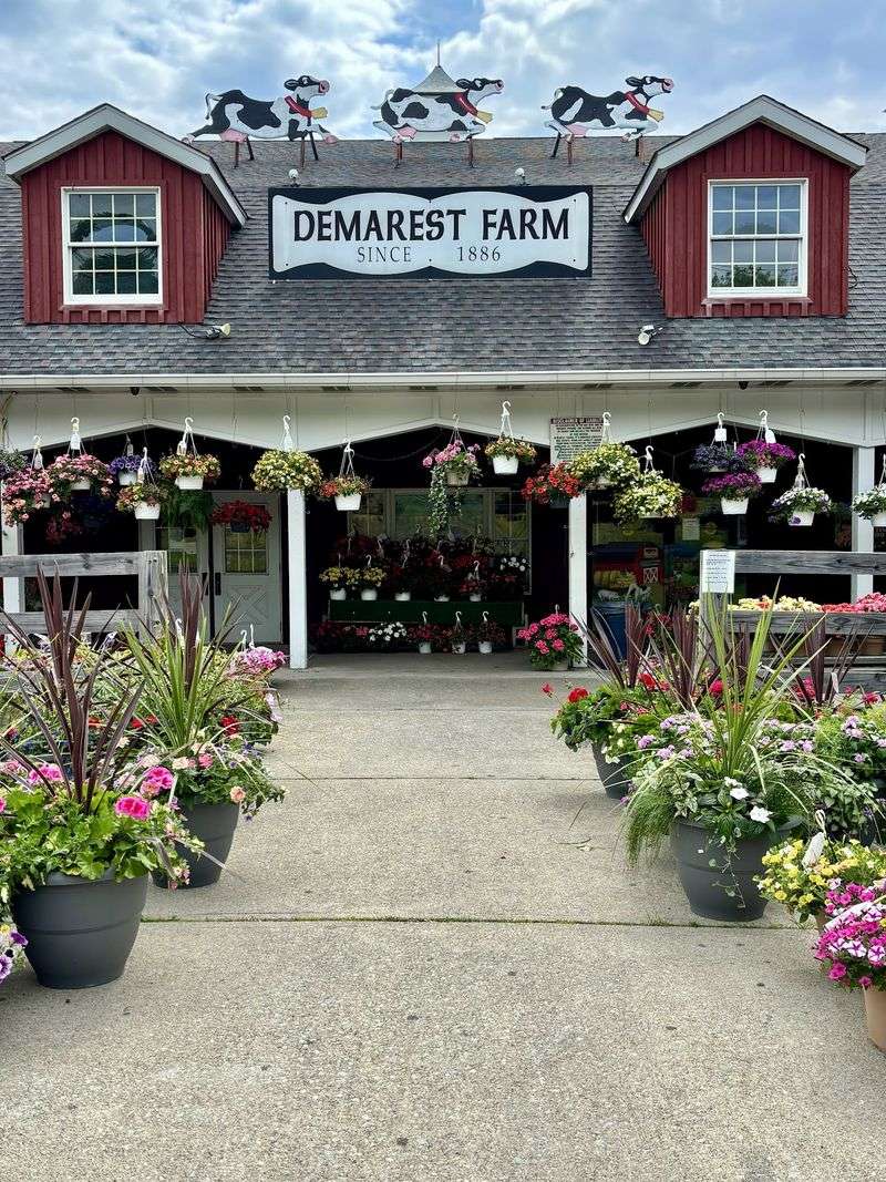 Demarest Farms, Hillsdale, NJ Demarest Farms, Hillsdale, NJ