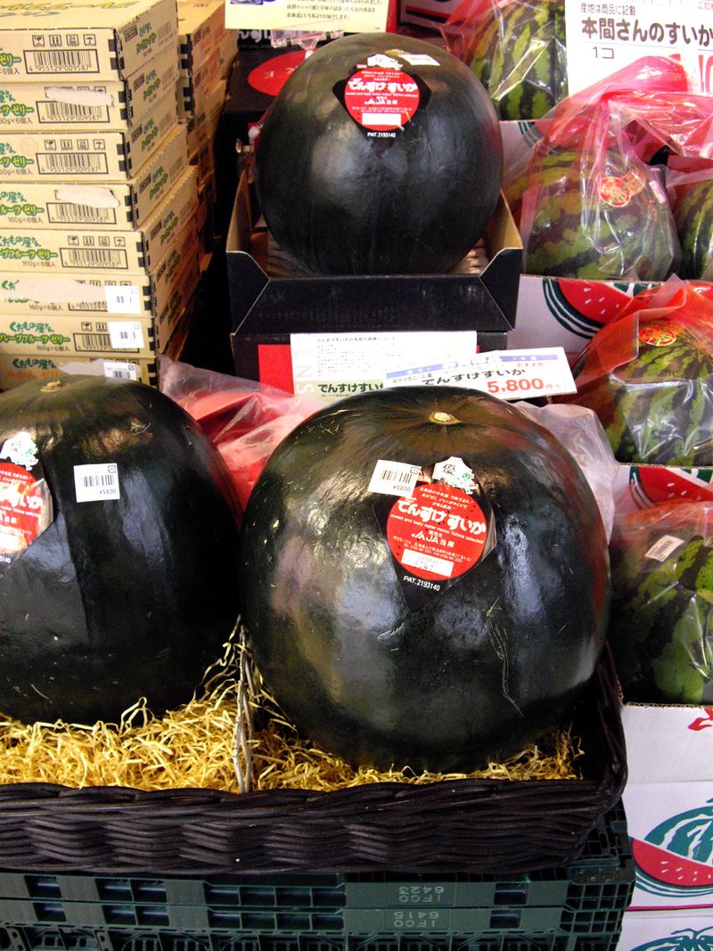 Densuke Watermelon Densuke Watermelon