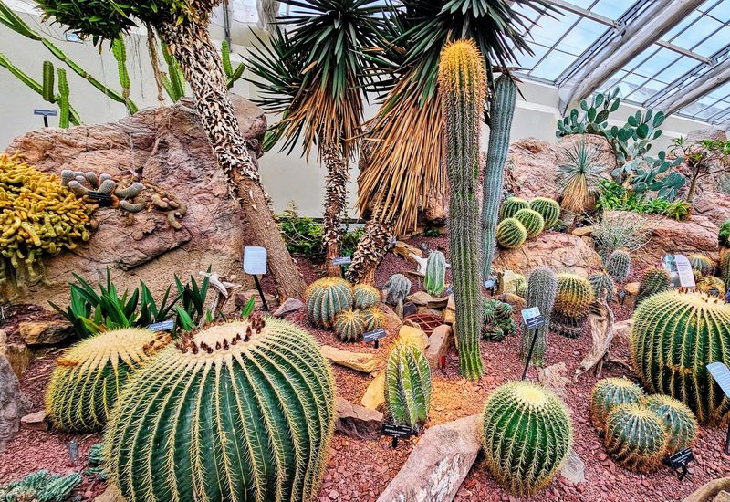 Desert to Rainforest: The Variety Is Real
