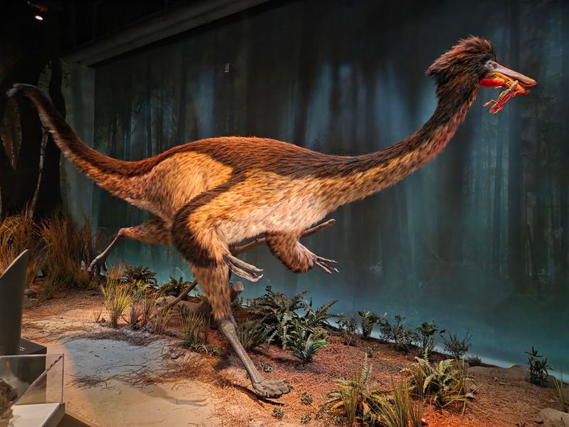 Dinosaurs With New Jersey Roots Dinosaurs With New Jersey Roots