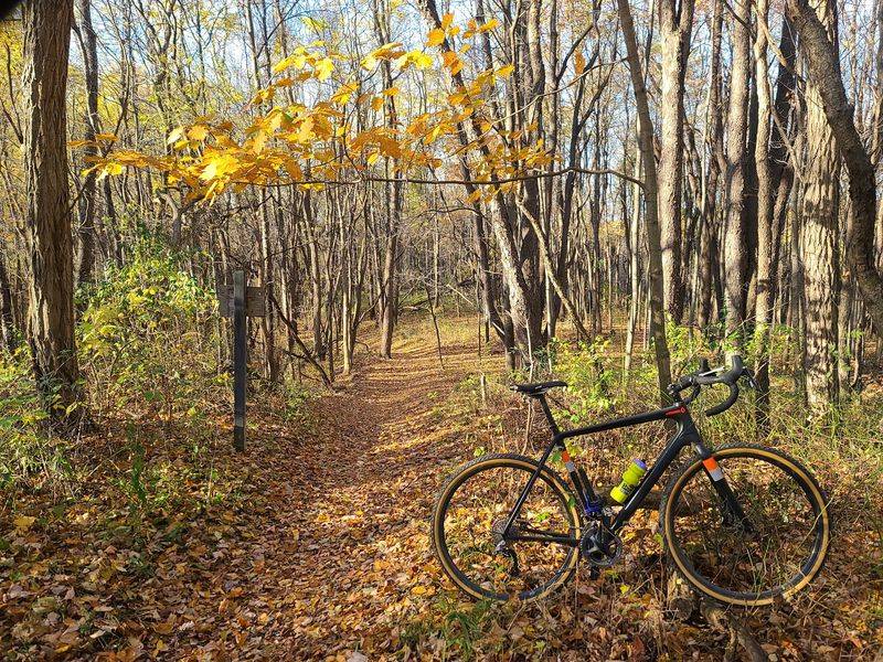 Disc Golf, Bikes, and More Ways to Stay Busy