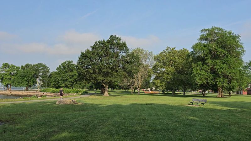 Disc Golf, Fishing, and Open-Field Freedom