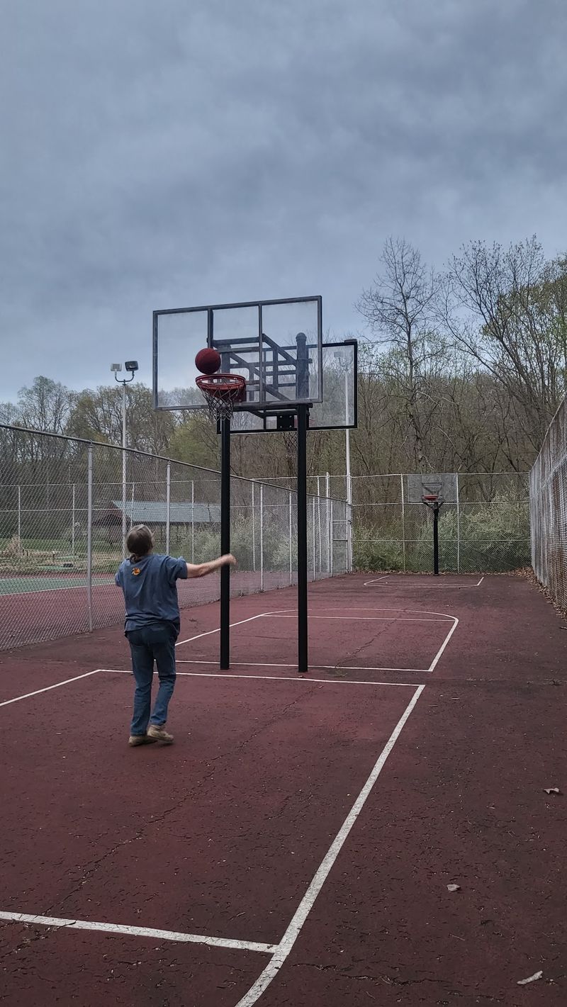 Disc Golf, Volleyball, and Extras You Did Not Expect
