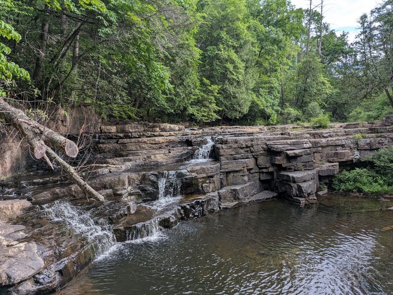 Dismal Falls - Bland County