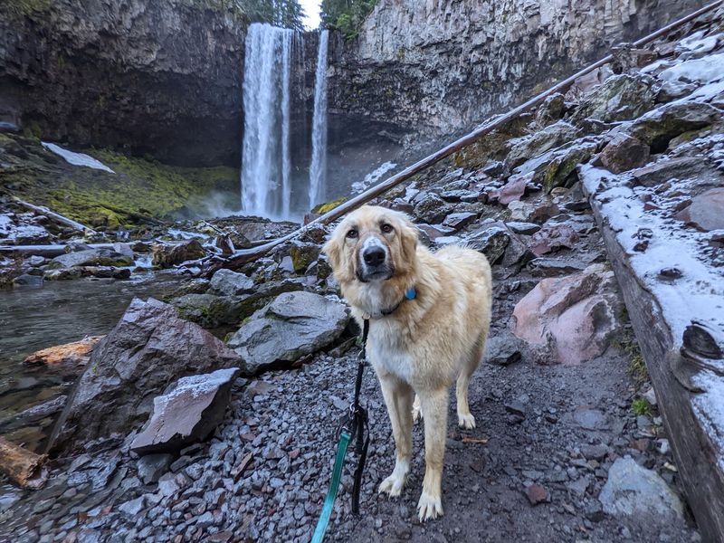 Dog and Kid Friendly: Who Can Actually Do This Hike Dog and Kid Friendly: Who Can Actually Do This Hike