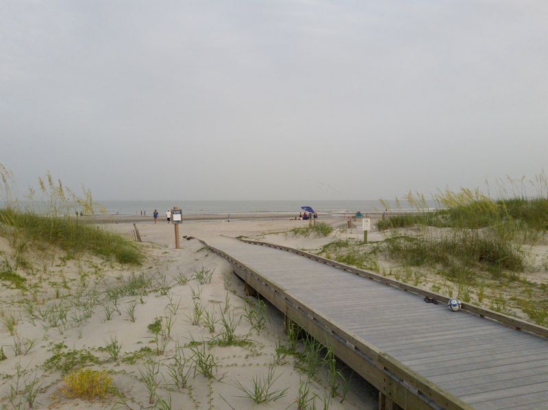 Dolphins, Turtle Nests, And A Living Preserve Dolphins, Turtle Nests, And A Living Preserve