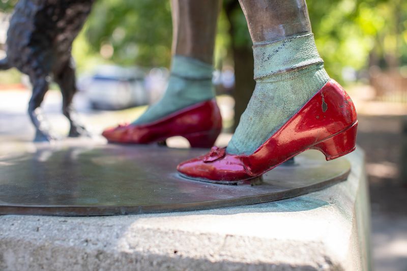 Dorothy and Toto: A Pair Worth Finding