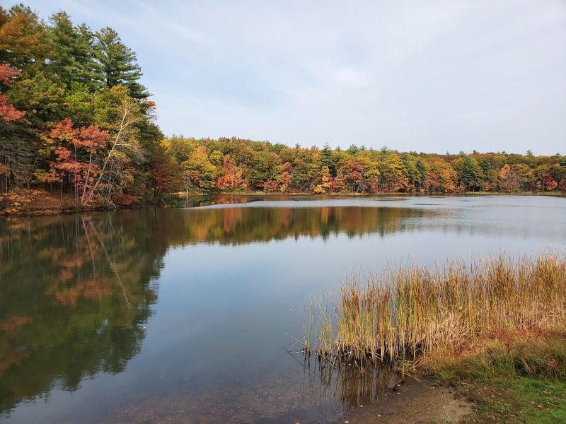 Dorrs Pond Is the Real Star of the Show Dorrs Pond Is the Real Star of the Show