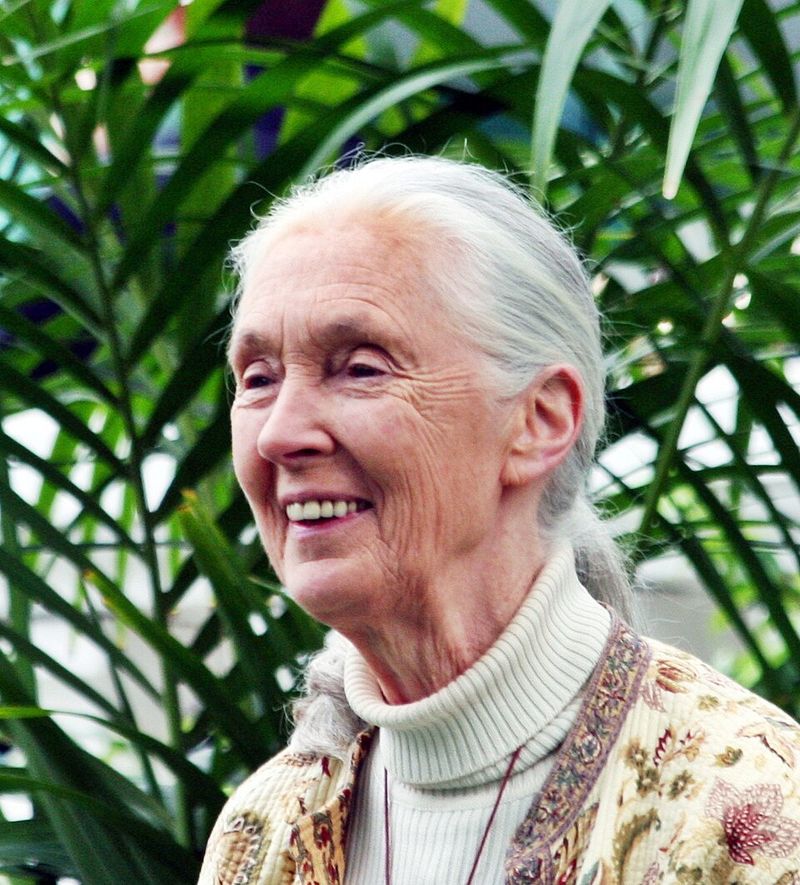 Dr. Jane Goodall - Primatologist Dr. Jane Goodall - Primatologist