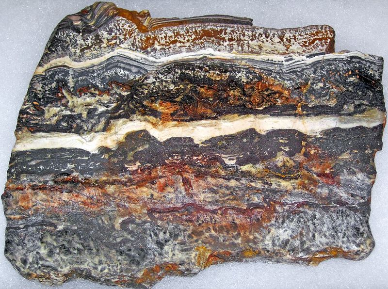 Dresser Formation Stromatolites: About 3.48 Billion Years Old Dresser Formation Stromatolites: About 3.48 Billion Years Old