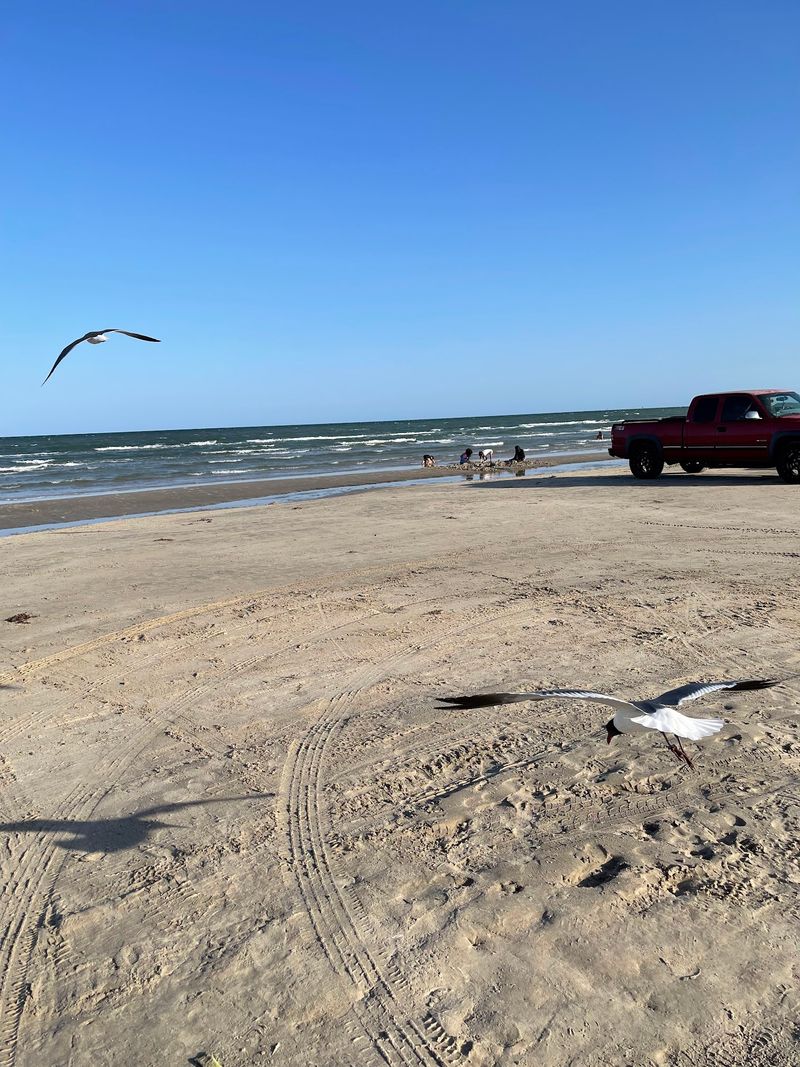 Driving Your Car Right Onto the Sand Driving Your Car Right Onto the Sand