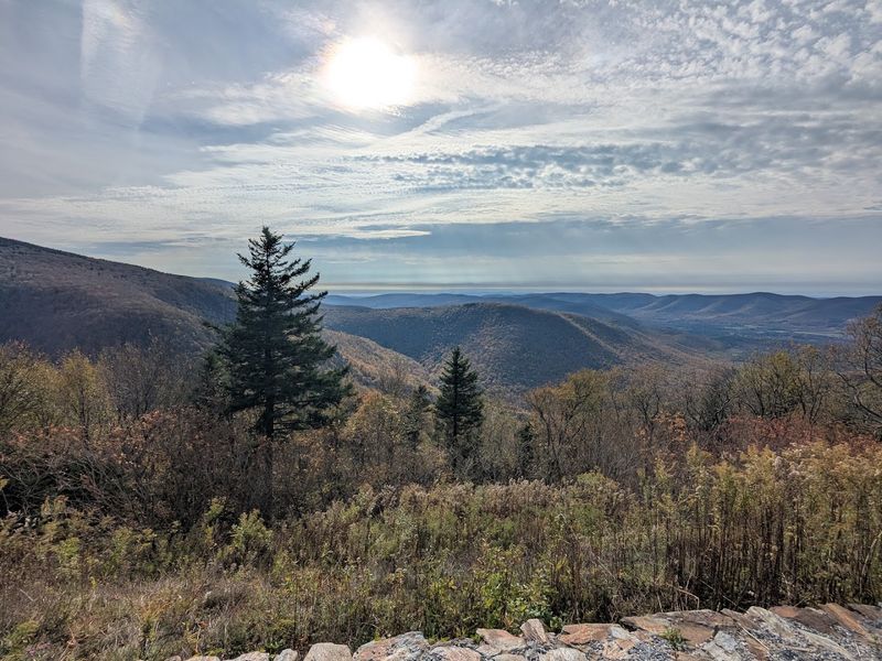 Driving the Scenic Byway to the Top