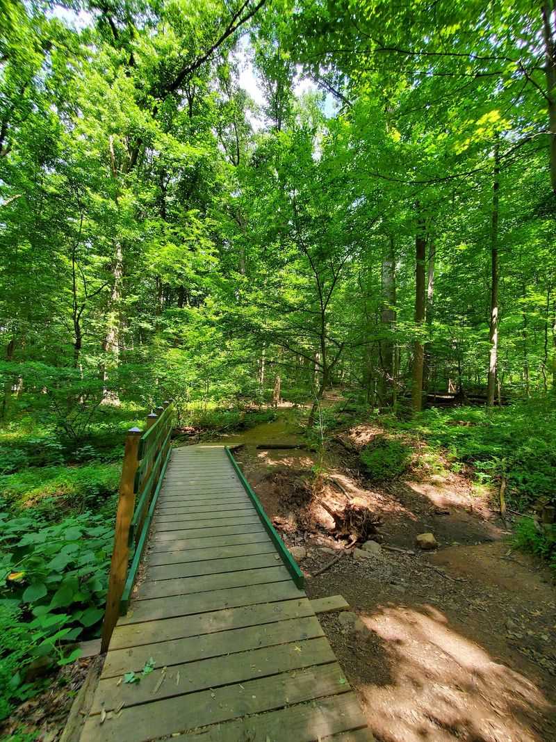 Easy Terrain With A Few Real-Trail Reminders
