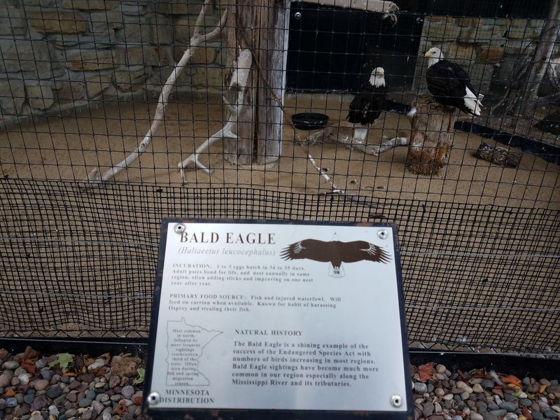 Educational Placards That Tell Each Animal's Story Educational Placards That Tell Each Animal's Story