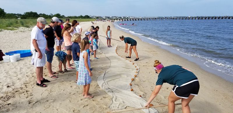 Educational Programs That Go Way Beyond the Classroom Educational Programs That Go Way Beyond the Classroom