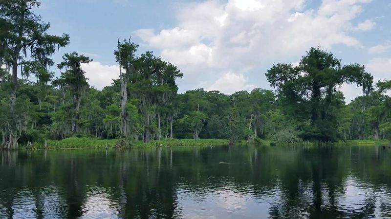 Edward Ball Wakulla Springs State Park, Wakulla Springs, Florida Edward Ball Wakulla Springs State Park, Wakulla Springs, Florida