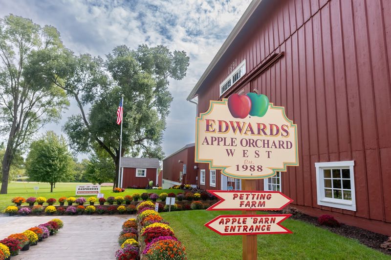 Edwards Apple Orchard - Poplar Grove Edwards Apple Orchard - Poplar Grove